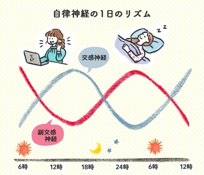 胸式呼吸と腹式呼吸の生理学的な違いは何か？ - Genspark